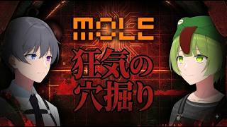 【MOLE】狂気に飲まれるな！圧倒的に高評価な新作ホラーゲーム 【視点とーますwithかえる】