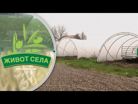 Mladi poljoprivrednik Jovica Mitrović nastavio tradiciju svojih djedova,od obrade zemlje ne odustaje