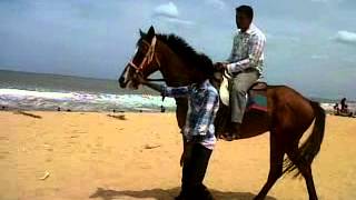 preview picture of video 'Abdul kalam's Horse ride in mahabalipuram on 17-06-12'