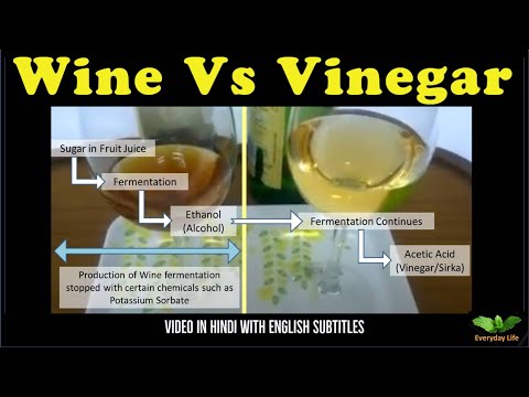 download lagu mp3 mp4 Alcohol Content Of Vinegar, download lagu Alcohol Content Of Vinegar gratis, unduh video klip Alcohol Content Of Vinegar