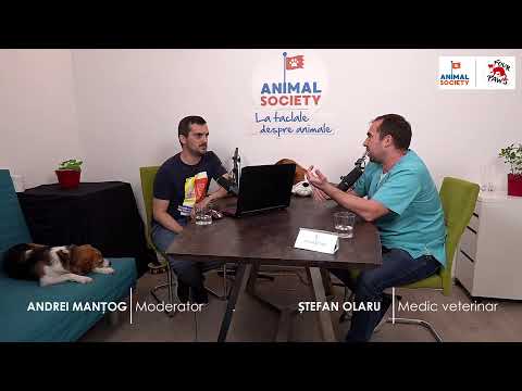 La taclale despre animale - podcast Animal Society - invitat Ștefan Olaru