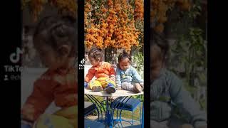 Chintu and Mintu at Hotel Yeti lakeside, Pokhara  Nepal