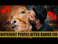 Different People after Bakra Eid | The Fun Fin | Comedy Sketch | Funny Skit