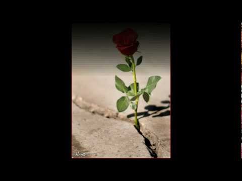 Embargo - Samo Da Te Vidim (Croatian Rap)