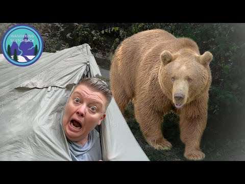 Recreating in Bear Country | Staying Safe while Camping, Hiking, Backpacking and More!
