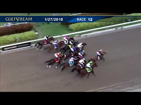 GUN RUNNER 2018 Pegasus World Cup G1  1 1/8 miles