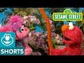 Sesame Street Elmo And Abby And The Tissue
