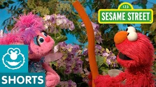 Sesame Street: Elmo and Abby and the Tissue