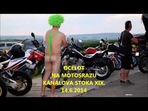 Ocelot (original) - Ocelot na motosrazu Kanálova stoka XIX. Holubice, 14.6.2014