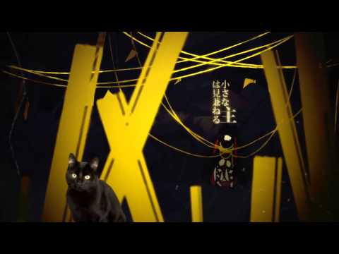 Heat Haze Cat is Here