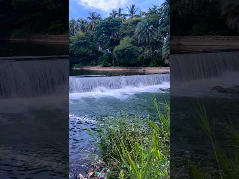 Kaveri River || srirangapattana || Mysore  #travel #viral #trending #melody #nature