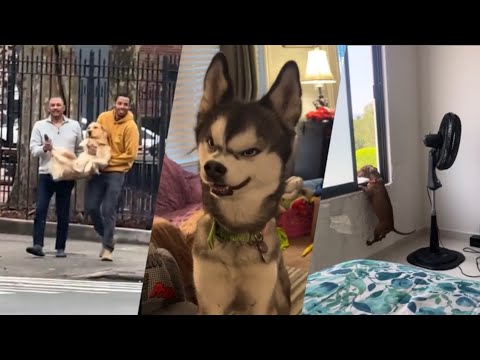 Fails of The Week  😂  EP:16  |  Funny Fails  | Fail Army