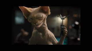 Hocus Pocus (Animal Style) Trailer