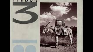 Timbuk3 - The Future&#39;s So Bright (I Gotta Wear Shades) (1987)