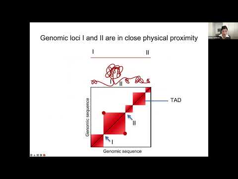 SCOG Virtual Lecture Series - Kikuë Tachibana (MPI Biochemistry, Munich)