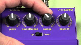Video thumbnail for Chunk Systems Pedals.mov by Bass Whisperer TV