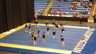 Minooka Cheer 2014 Sectionals