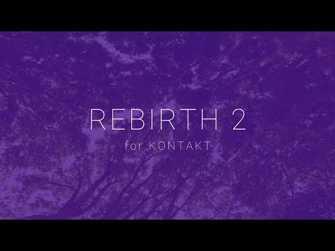 Free Download Rebirth 2 KONTAKT-ARCADiA