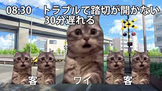 - 路線バス運転士の1日(猫meme)#猫ミーム #猫マニ