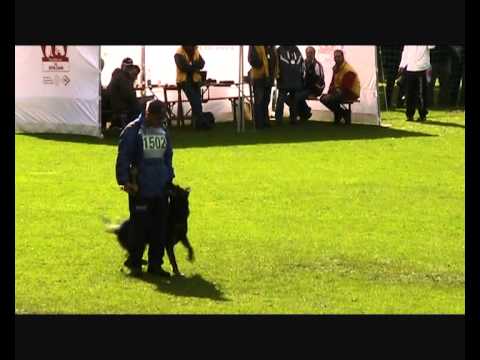 BSP 2010 Unterordnung.wmv