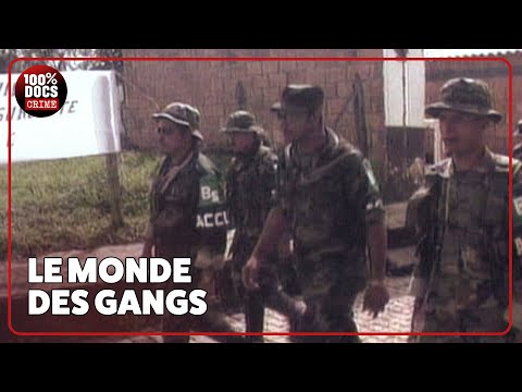 Quand les gangs contrôlent le monde [COMPILATION]