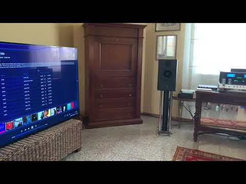 Macintosh ma352 - chord Hugo tt2 and Mscaler - atc scm19 : 6