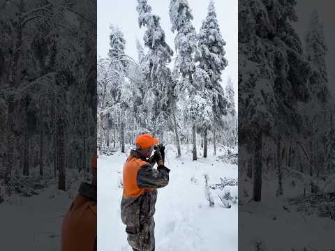 That’s Why I hunt With a 7mm Mag!