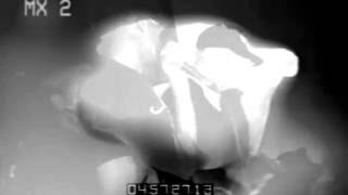 Lil Tracy - Desire [Slowed Visuals]