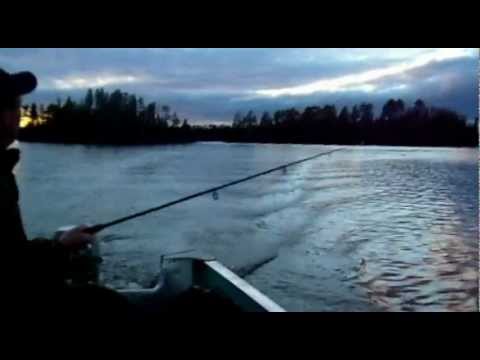 Air Ivanhoe Fishing Trip - YouTube