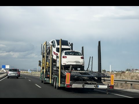 Zobacz filmy, Fast-Trans Karol Tarasiuk, Biele