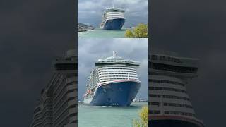 Carnival Mardi Gras Got Me Again! 🙄