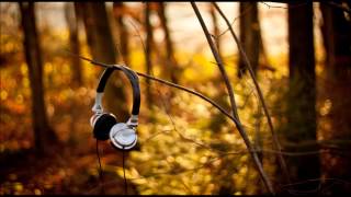 Tobax - Controlla (Physical Illusion and Sunny Crimea Rmx)