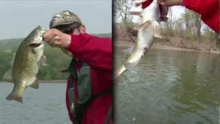 preview picture of video 'How to Fish a Buzzbait - Susquehanna River Smallmouth Bass Fishing'