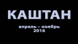 Каштан. Апрель-ноябрь 2016 года.