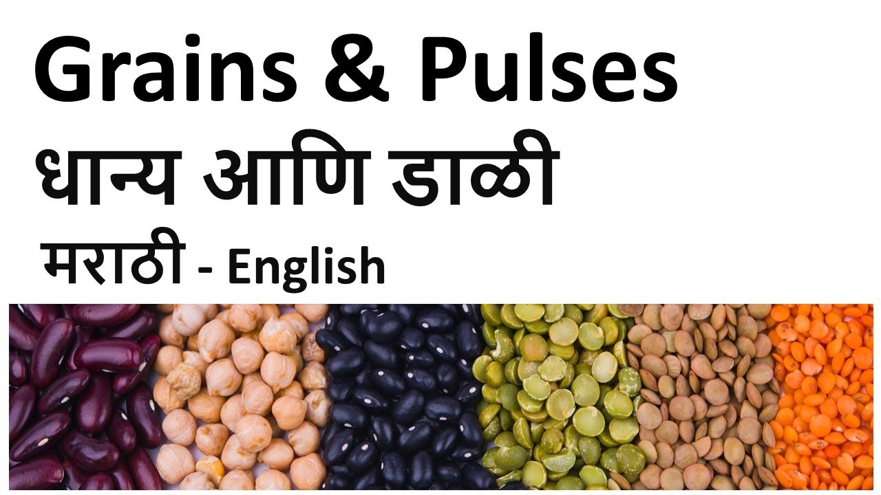Grains and pulses names in Marathi & English | धान्य आणि डाळीची नावे | names of grains and pulses|