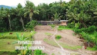 Building a Paradise (part 1) - Sunrise Paradise Bali