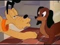 Pluto Canine Casanova HQ