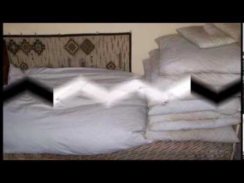 Tollfelvásárlás Kelet-Magyarország területén