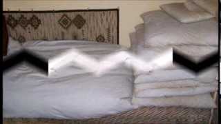 Tollfelvásárlás Kelet-Magyarország területén