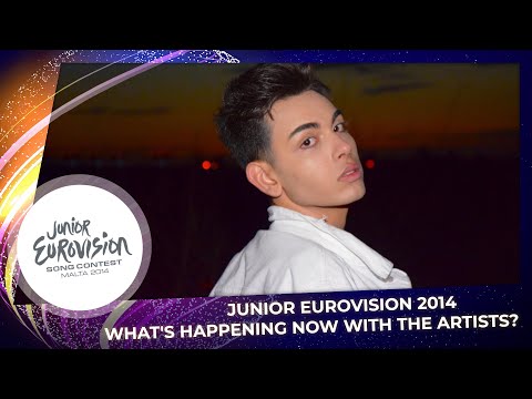 Junior Eurovision 2014 | What's happening now with the artists?