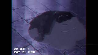 COWBOY BEBOP「AMV」- Skip&#39;s Worried Blues