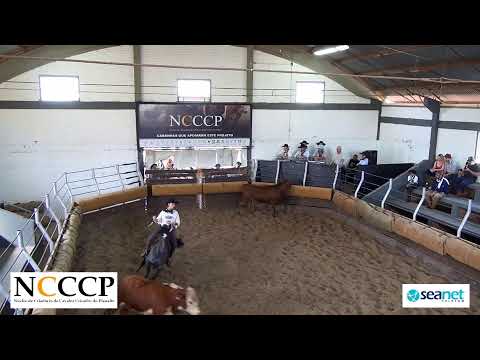 NCCCP 2022 - Fase final credenciadora mista, prova proprietário e prova jovem