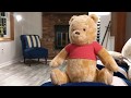 Pooh And The Tigger King