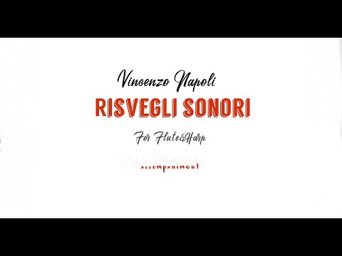 Vincenzo  Napoli RISVEGLI SONORI-accompaniment