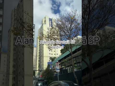Alameda Sarutaiá #saopaulo #sp #passeioemsp