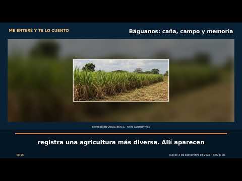 Báguanos: caña, campo y memoria