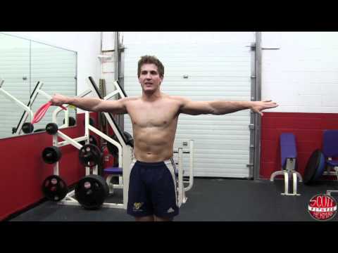 Muscular Strenght Title