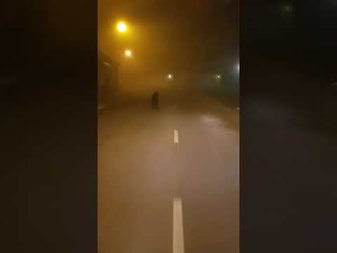 Maci pétervásárán