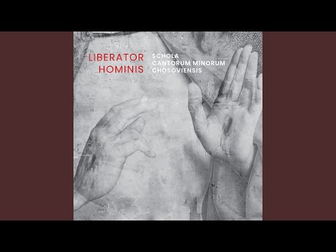 Responsorium VIII: Tulerunt Dominum meum