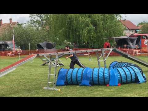 Perla open agility run at Monor Cup, 13/05/2017